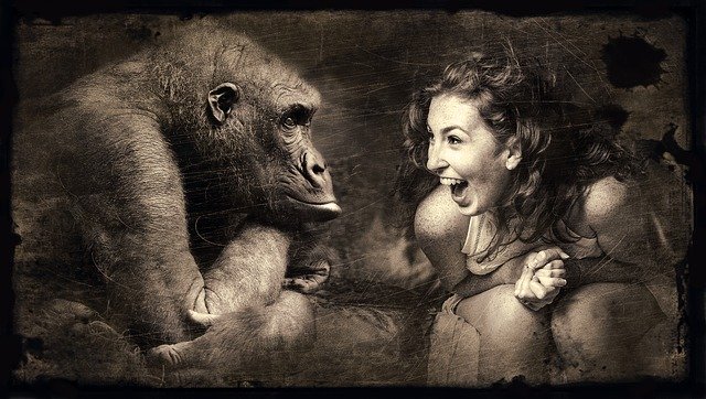 Macaco e uma mulher frente a frente representando a evolução do pensamento e as emoções humanas